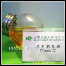 Горячий гербицид clethodim 90% TC и 24% EC / 12% EC (производитель)